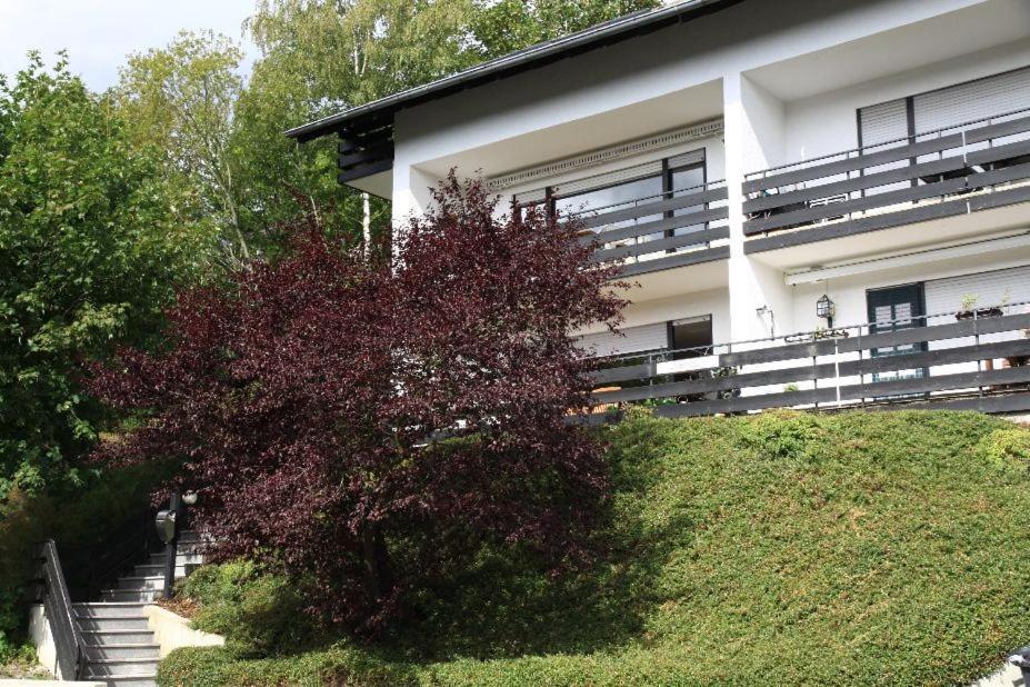 ווינטרברג Appartement Maya מראה חיצוני תמונה